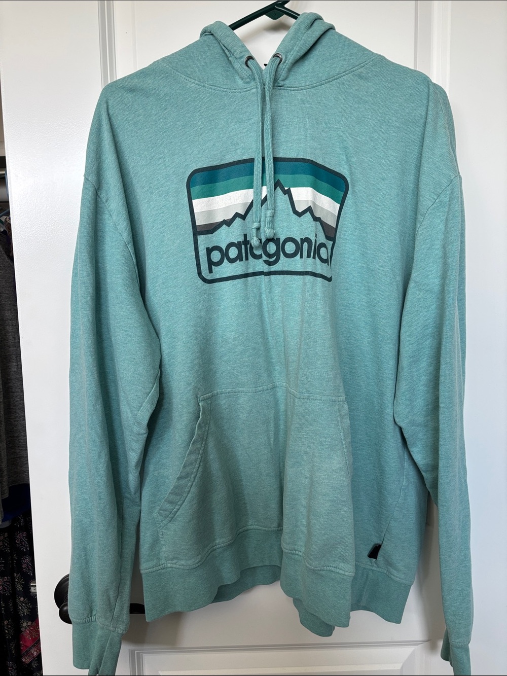 Patagonia Men's Seafoam Green Logo Pullover Hoodie